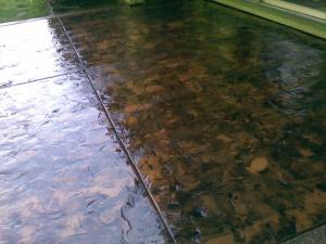 Decorative stamped concrete patio for outdoor living